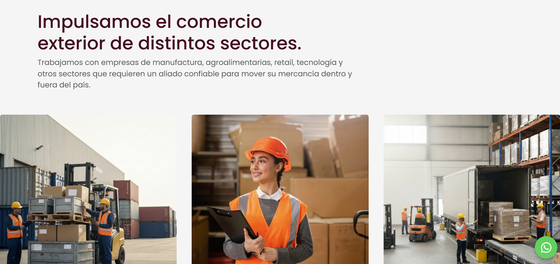 Vista real del sitio web de INECEX